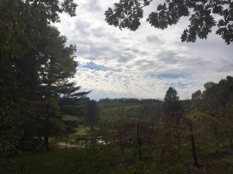 honey-pot-hill-apple-orchard2